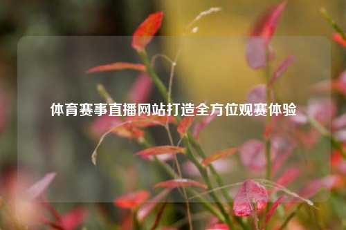 体育赛事直播网站打造全方位观赛体验