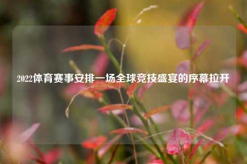 2022体育赛事安排一场全球竞技盛宴的序幕拉开