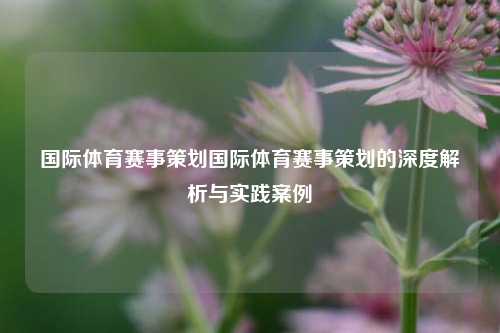 国际体育赛事策划国际体育赛事策划的深度解析与实践案例