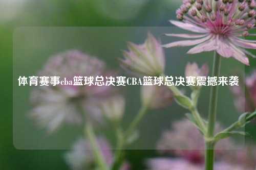 体育赛事cba篮球总决赛CBA篮球总决赛震撼来袭