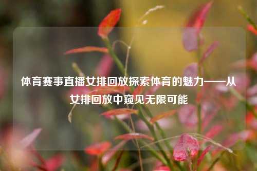 体育赛事直播女排回放探索体育的魅力——从女排回放中窥见无限可能