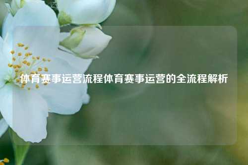 体育赛事运营流程体育赛事运营的全流程解析