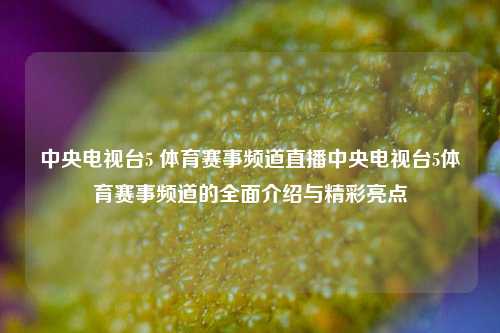 中央电视台5 体育赛事频道直播中央电视台5体育赛事频道的全面介绍与精彩亮点