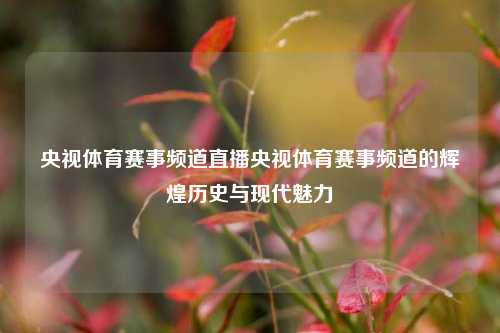 央视体育赛事频道直播央视体育赛事频道的辉煌历史与现代魅力