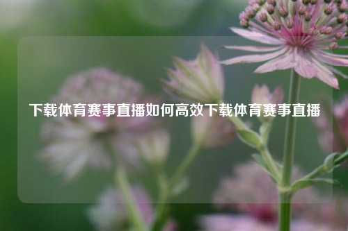 下载体育赛事直播如何高效下载体育赛事直播