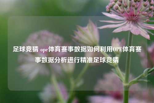 足球竞猜 ope体育赛事数据如何利用OPE体育赛事数据分析进行精准足球竞猜