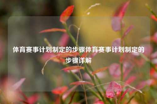 体育赛事计划制定的步骤体育赛事计划制定的步骤详解