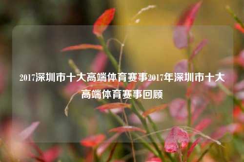 2017深圳市十大高端体育赛事2017年深圳市十大高端体育赛事回顾