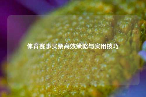 体育赛事买票高效策略与实用技巧
