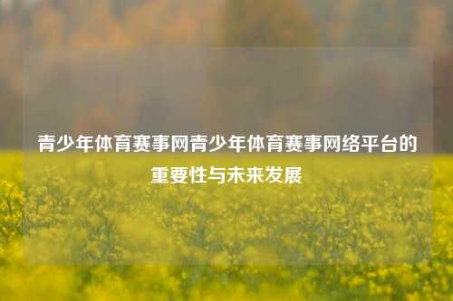 青少年体育赛事网青少年体育赛事网络平台的重要性与未来发展
