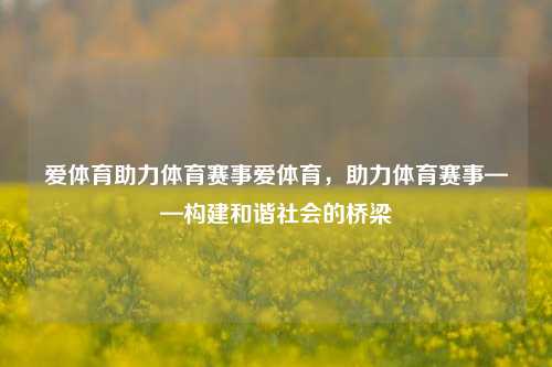 爱体育助力体育赛事爱体育，助力体育赛事——构建和谐社会的桥梁
