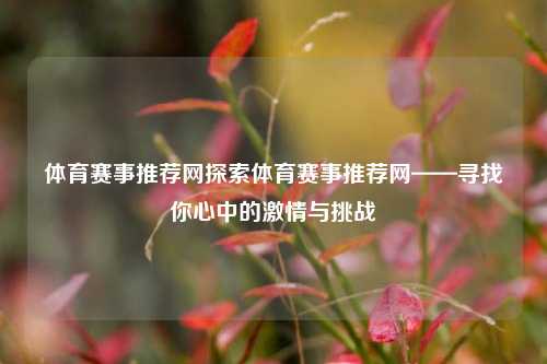 体育赛事推荐网探索体育赛事推荐网——寻找你心中的激情与挑战