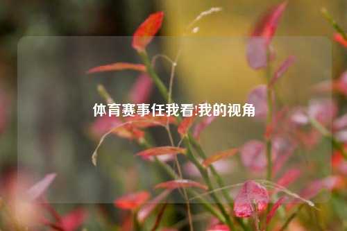 体育赛事任我看!我的视角