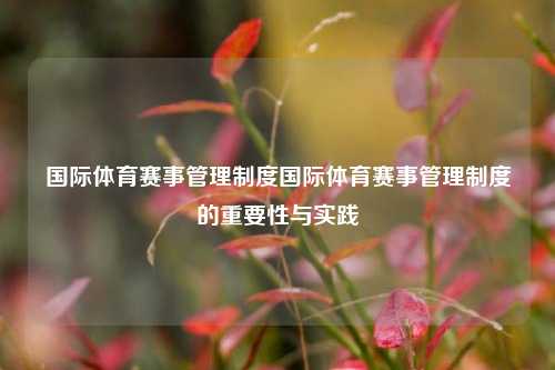 国际体育赛事管理制度国际体育赛事管理制度的重要性与实践