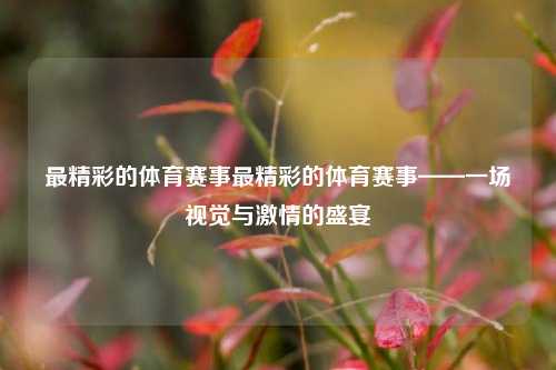 最精彩的体育赛事最精彩的体育赛事——一场视觉与激情的盛宴