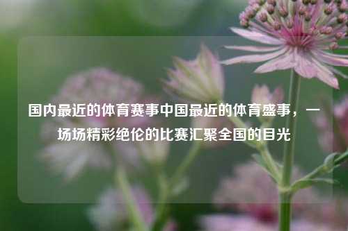 国内最近的体育赛事中国最近的体育盛事，一场场精彩绝伦的比赛汇聚全国的目光