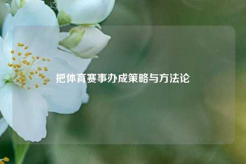 把体育赛事办成策略与方法论