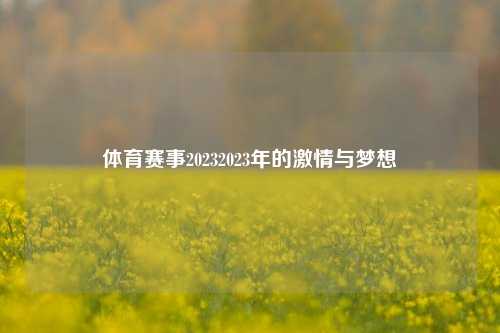 体育赛事20232023年的激情与梦想