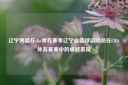 辽宁男篮在cba体育赛事辽宁省篮球运动员在CBA体育赛事中的卓越表现