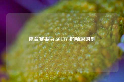 体育赛事cctv5CCTV5的精彩时刻