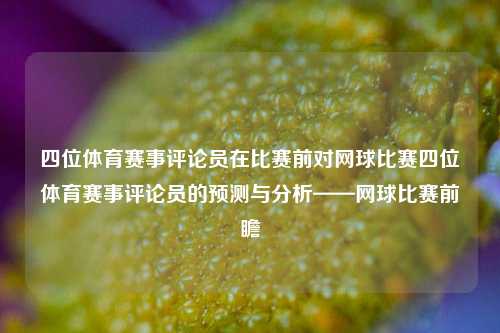 四位体育赛事评论员在比赛前对网球比赛四位体育赛事评论员的预测与分析——网球比赛前瞻