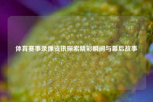 体育赛事录像资讯探索精彩瞬间与幕后故事