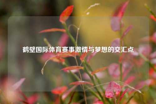 鹤壁国际体育赛事激情与梦想的交汇点