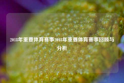 2018年重要体育赛事2018年重要体育赛事回顾与分析
