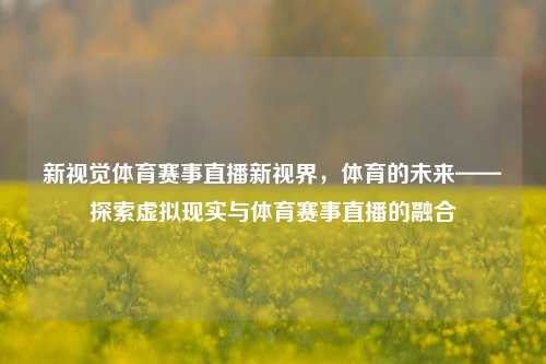 新视觉体育赛事直播新视界，体育的未来——探索虚拟现实与体育赛事直播的融合