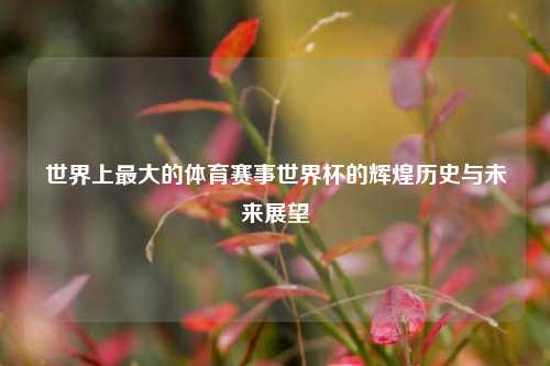 世界上最大的体育赛事世界杯的辉煌历史与未来展望