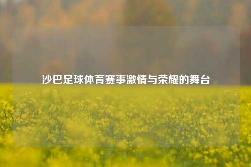 沙巴足球体育赛事激情与荣耀的舞台