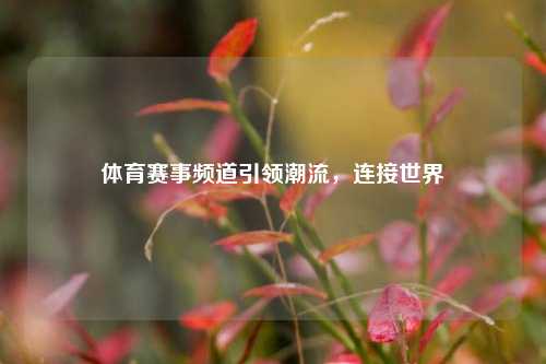 体育赛事频道引领潮流，连接世界
