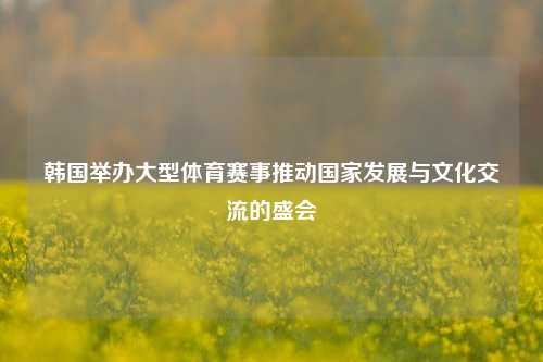 韩国举办大型体育赛事推动国家发展与文化交流的盛会
