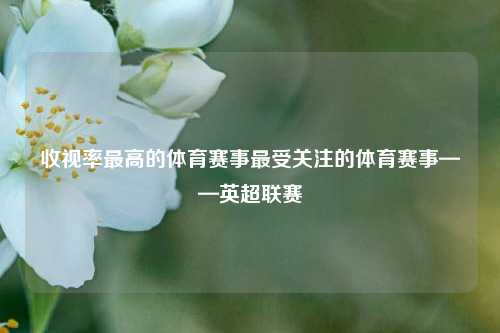 收视率最高的体育赛事最受关注的体育赛事——英超联赛
