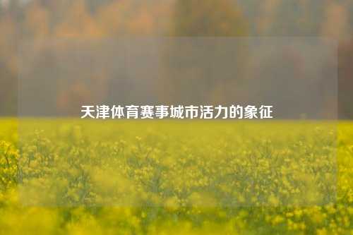 天津体育赛事城市活力的象征