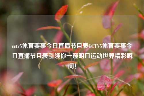 cctv5体育赛事今日直播节目表CCTV5体育赛事今日直播节目表引领你一窥明日运动世界精彩瞬间！