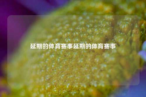 延期的体育赛事延期的体育赛事