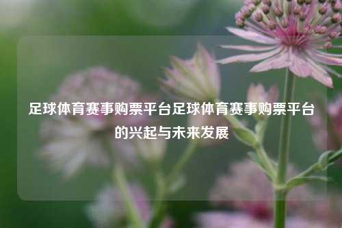 足球体育赛事购票平台足球体育赛事购票平台的兴起与未来发展