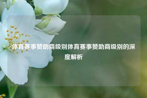体育赛事赞助商级别体育赛事赞助商级别的深度解析