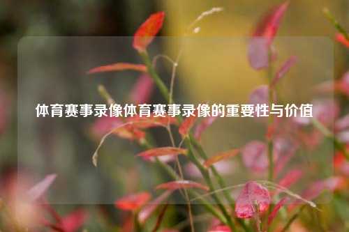 体育赛事录像体育赛事录像的重要性与价值