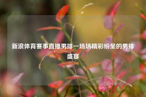 新浪体育赛事直播男排一场场精彩纷呈的男排盛宴