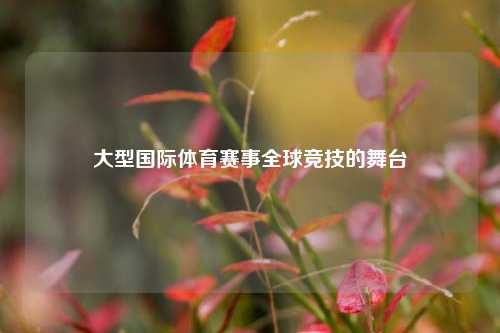 大型国际体育赛事全球竞技的舞台