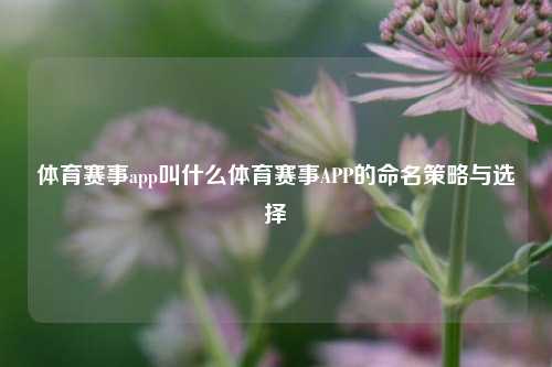 体育赛事app叫什么体育赛事APP的命名策略与选择