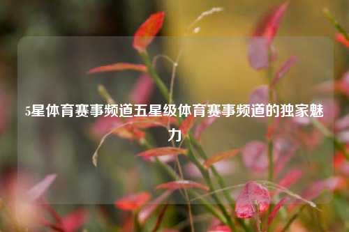 5星体育赛事频道五星级体育赛事频道的独家魅力