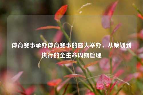 体育赛事承办体育赛事的盛大举办，从策划到执行的全生命周期管理