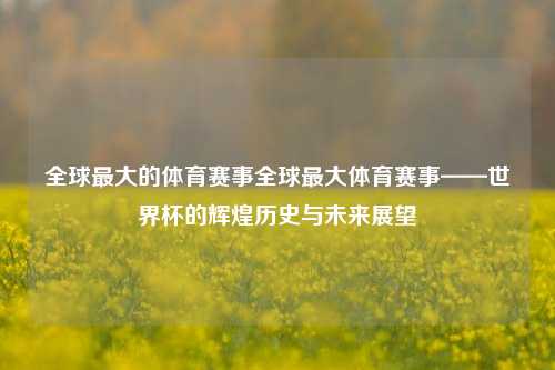 全球最大的体育赛事全球最大体育赛事——世界杯的辉煌历史与未来展望