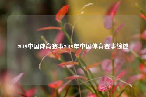 2019中国体育赛事2019年中国体育赛事综述