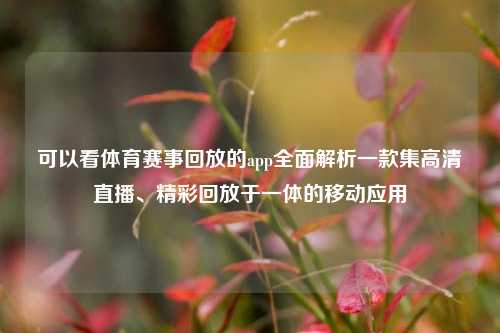 可以看体育赛事回放的app全面解析一款集高清直播、精彩回放于一体的移动应用