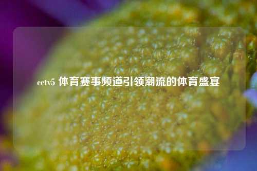 cctv5 体育赛事频道引领潮流的体育盛宴