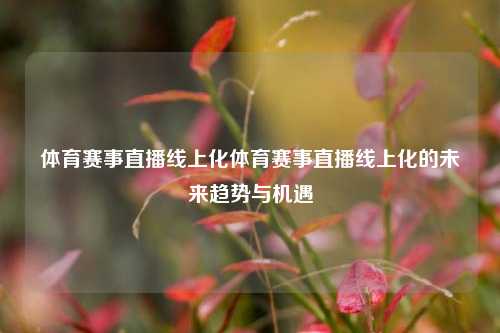 体育赛事直播线上化体育赛事直播线上化的未来趋势与机遇